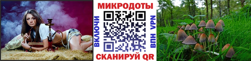 hydra как войти  Полтавская  Галлюциногенные грибы Magic Shrooms 
